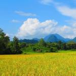Лаос - достопримечательности, интересные факты и места, культура, природа, традиции