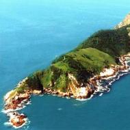 Ужасающий остров змей в бразилии Самый змеиный остров в мире